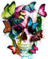 Butterfly & Skull Abstract Art
